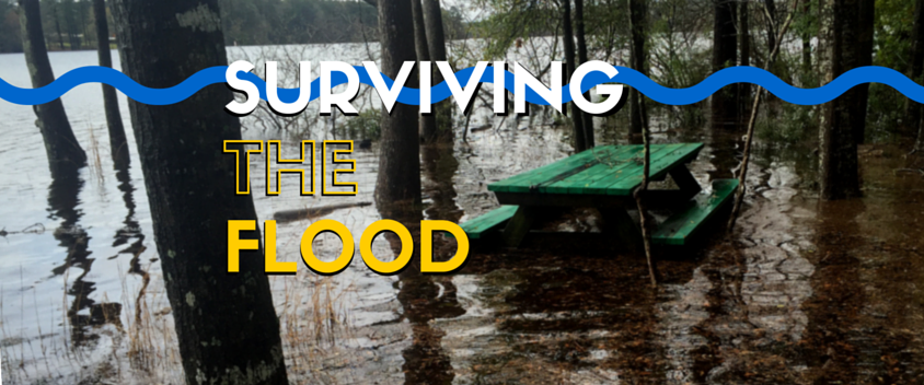Surviving the Flood of 2016